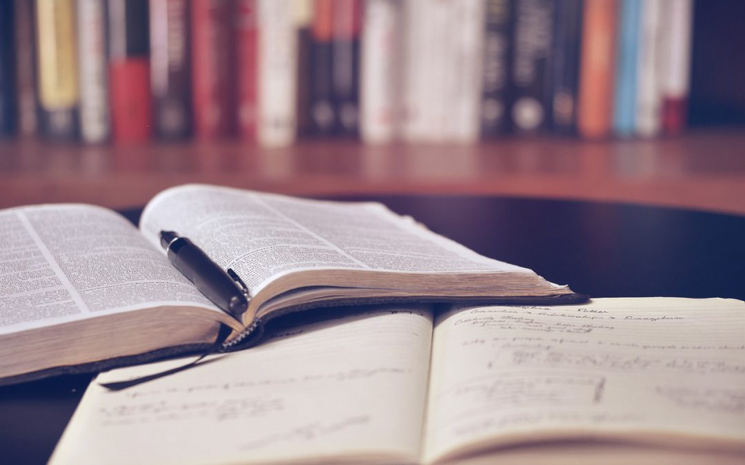 Bibliotek